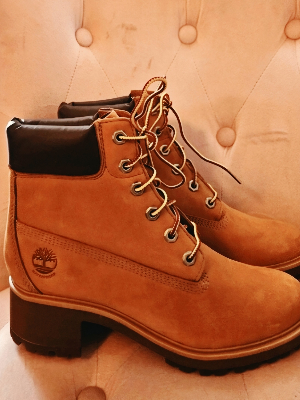 Timberland Wheat Nubuck Lace-Up Ankle Boots with Black Collar